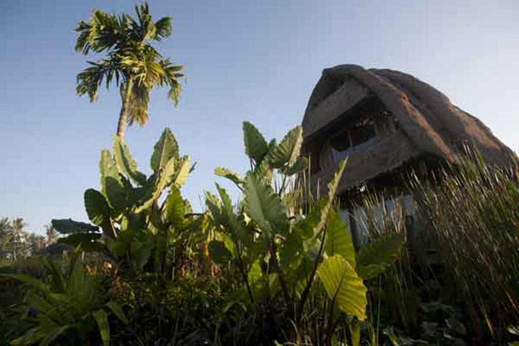 Ubud Hidden Villa Yone Village Luaran gambar
