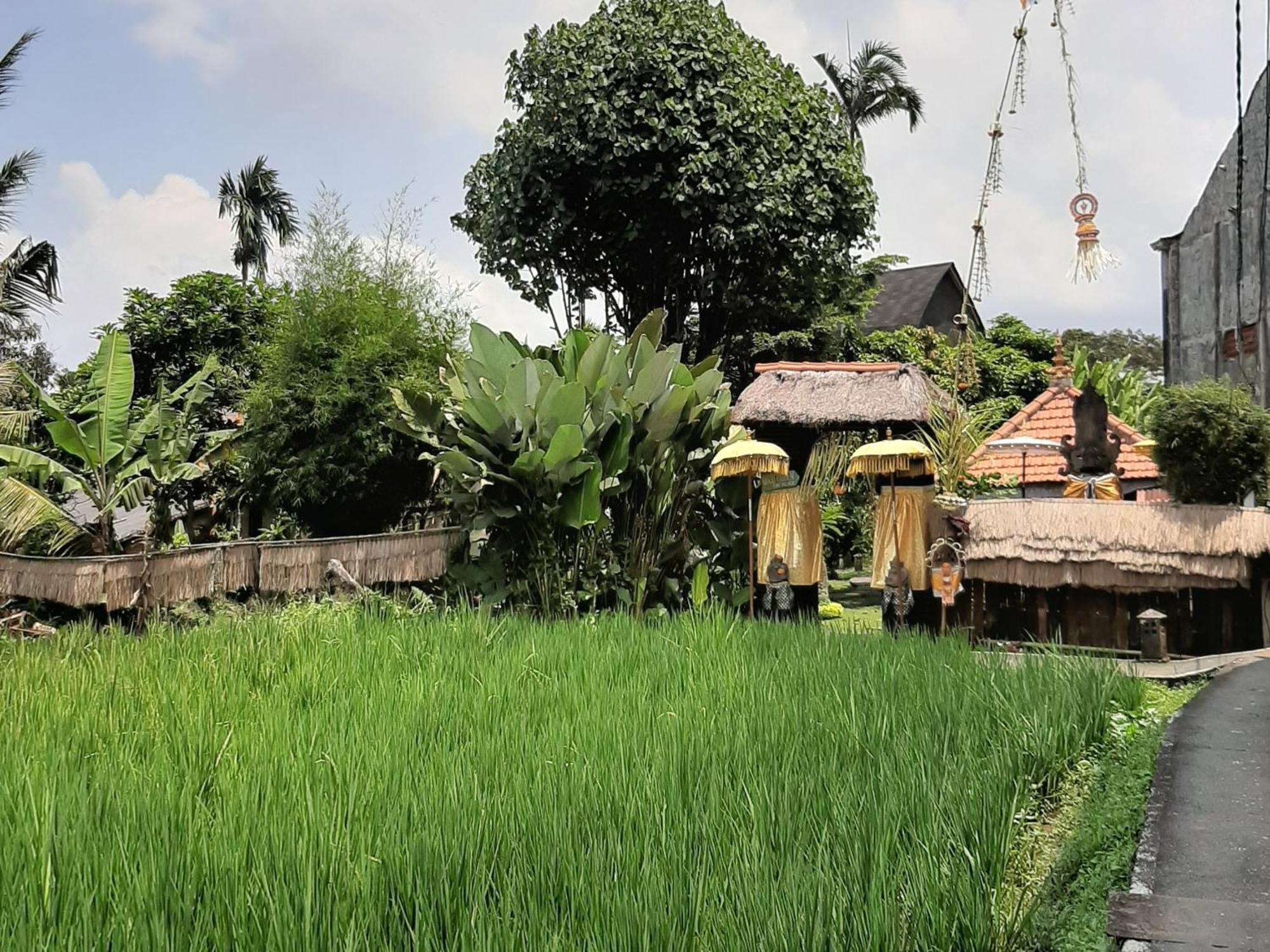 Ubud Hidden Villa Yone Village Luaran gambar